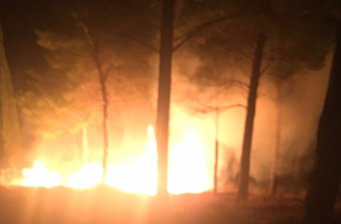 Altofonte, fiamme nel bosco dopo i fuochi di artificio - Monreale Press