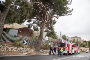 vigili-del-fuoco-albero-4