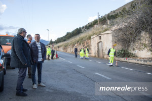 albero-spartiviolo-1