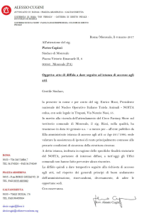 diffida-rizzi-capizzi