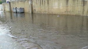 abbeveratoio-allagamento3