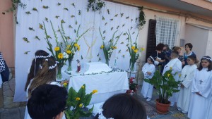 pioppo-corpus-domini-7