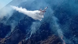 incendio-panoramica1