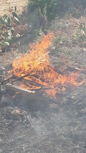 incendio-monreale1