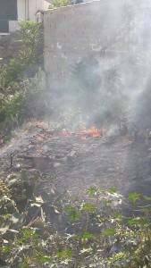 incendio-monreale4