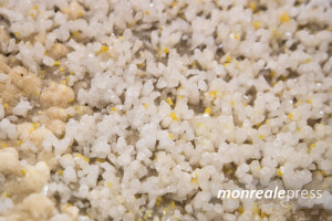 06-celestina-sicilia