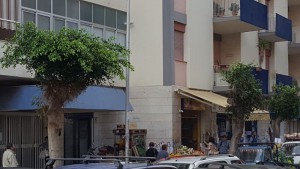 alberi-via-repubblica1