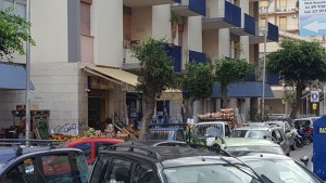 alberi-via-repubblica2