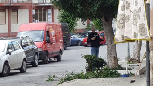 alberi-via-repubblica3