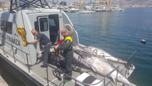 sequestro-tonno-1