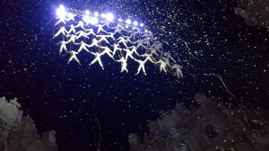 festino-santa-rosalia4