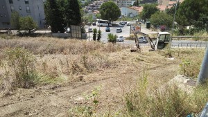 rimozione-sterpaglie3