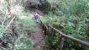 torrente-santa-rosalia1