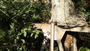 torrente-santa-rosalia3