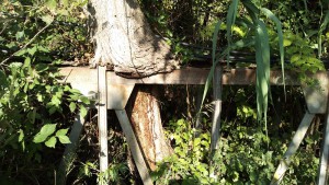 torrente-santa-rosalia4