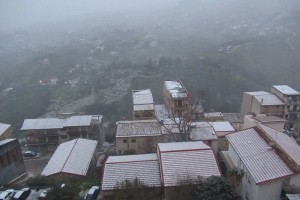 neve-pioppo1