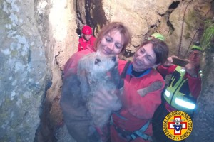 soccorso-cane1