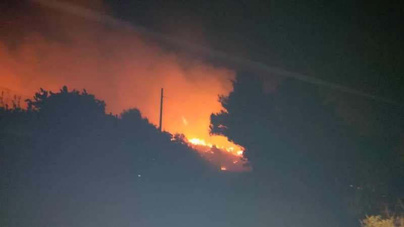buttafuoco