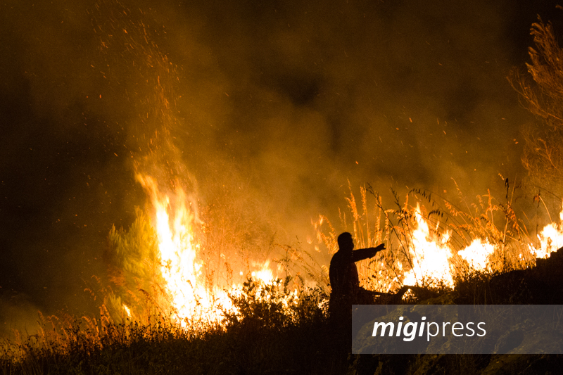 Appiccava il fuoco ai boschi di Monreale, ma di giorno era un forestale: arrestato