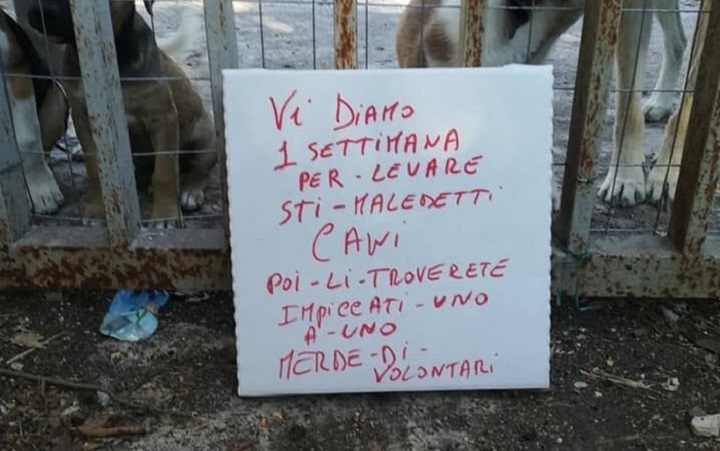 minacce a canile